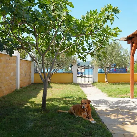 Σπίτι διακοπών Seaside House Turanj, Biograd - 23650