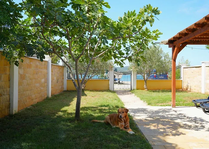 Дом отдыха Seaside House Turanj, Biograd - 23650